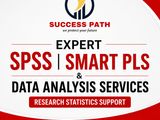 Expert Spss | Smart Pls Excel Data Analysis and Research Help