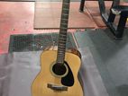 F 310 Guitar