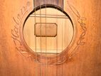 F Kalen Acoustic Guitar