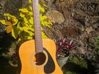 F310 Guitar