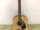 F310 Guitar