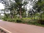 Fabulous Residential Garden Plot for Sale - Balagolla