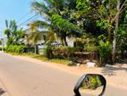 Facing A Main Road 51.6 Perches Land For Sale In Daluwakotuwa Negombo
