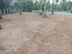 Facing Idigaha Walana Road Panadura Land for Sale