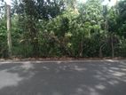 Facing Madapatha Road Land For Rent In Piliyandala