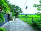 Facing Paddy field |Land for Sale in Malabe