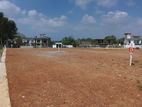 Facing Paddy Field land for sale in polgasowita Wethara Samagi Mawatha
