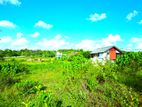Facing Paddy field,Land for Sale in Gonapola