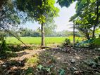 Facing Paddy Filed 21P Land for Sale Battramulla