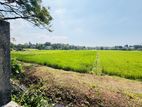 Facing Paddy filed 265 P Land Sale at Battaramulla