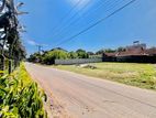 Facing To Dalupotha Prison 14.35P Valuable Land For Sale In Negombo