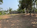 Facing to Main Bus Road Land for Sale in Piliyandala