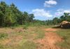 Factory Building With Land Sale At Hambanthota - Ansicht 4