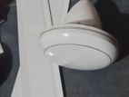 Fan Ceiling
