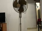 Fan (National)