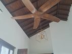 Fan Real Wood