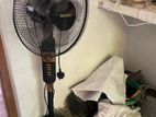 Fan Sale
