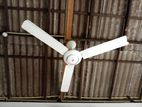 Fan used