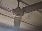 Ceiling Fan