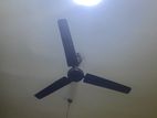 Ceiling Fan