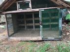Dog Cage