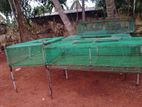 Farm Hen Cage