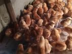 Farm chicks