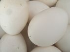 Farm Eggs Large