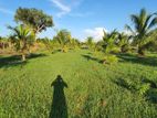 Farm Land for Sale - வவுனியா