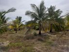 Farm Land for Sale in Santhively.