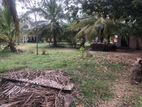 Farm Lands For Sale In Puttalam City