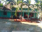 House with Farm for Sale Paranthan