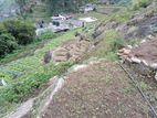Land for Sale Nuwera Eliya