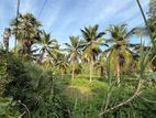 Farming Land for Sale in Navatkudah