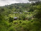 Farming Land Sale in Kandy Digana