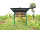 Farmland for Sale Puttalam