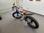 Fat Bicycle