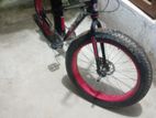 Fat Tire Bicycle