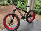 Fat tire bicycle