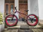 Fat tire bicycle