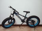 Fat tire bicycle