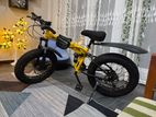 Fat Tire Mountain Bike