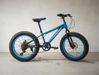 Fat Tyre Bicycle
