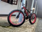 Fat Tyre Bicycle