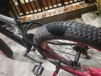 Fat Tyre Bike