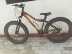 FTB Pro Bicycle