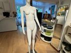 Female Dummy