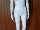 Female Dummy