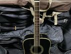 Fender Acoustic Guitar