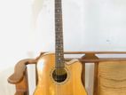 Fender Guitar